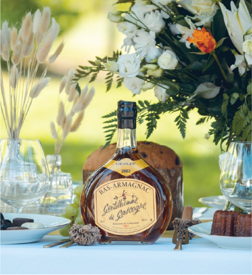 Armagnac - Le Damoiseau - Millesime 2011
