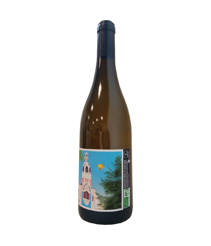 AOP Muscadet 2024