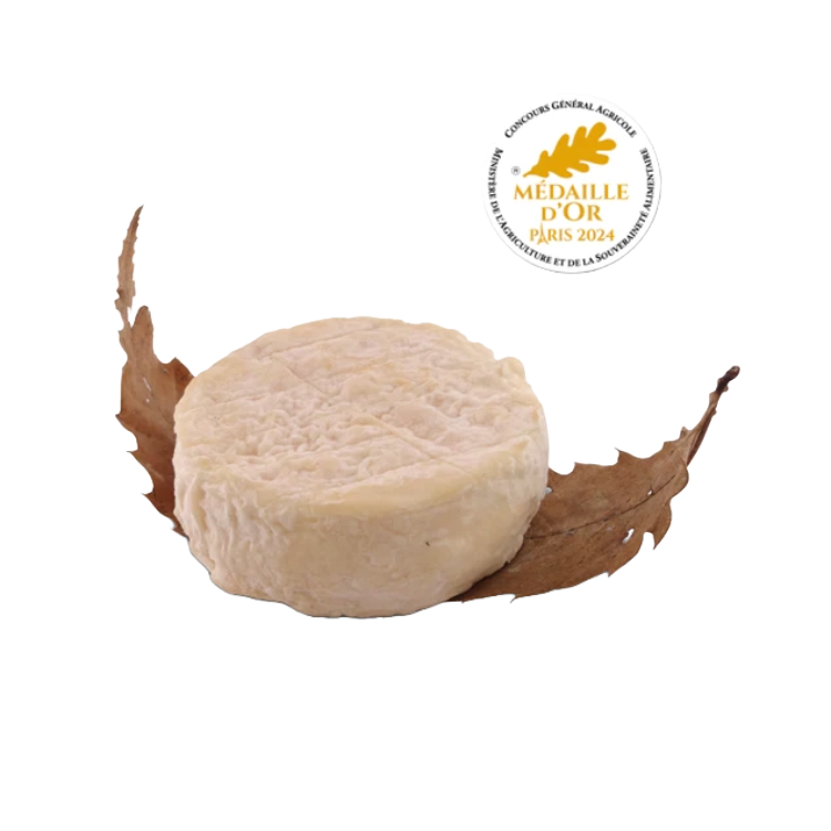 Mothais sur feuille