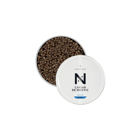 Beluga Signature Caviar