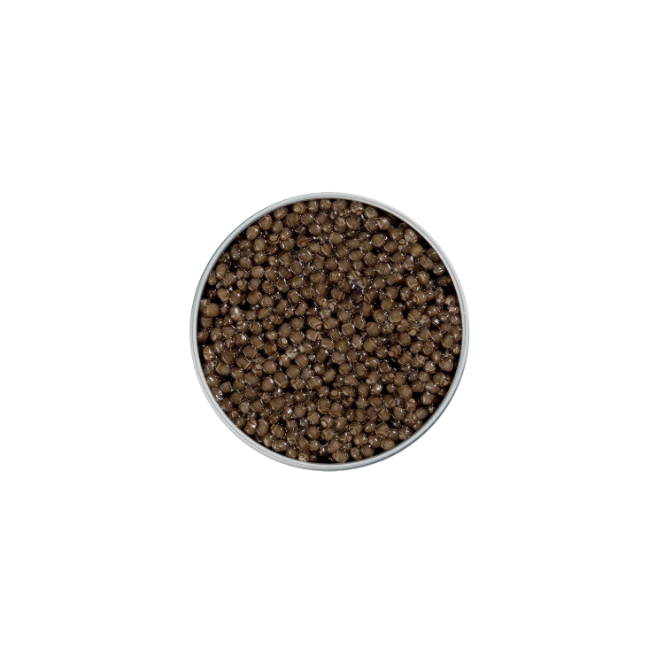 Beluga Signature Caviar