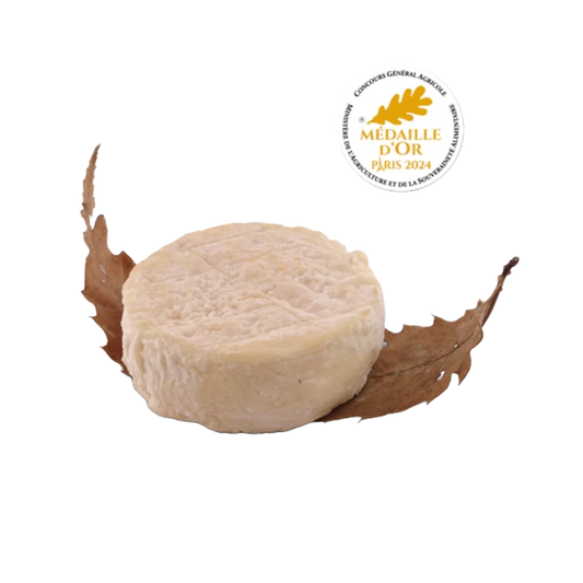 Mothais sur feuille