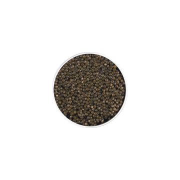 Oscietre Signature Caviar